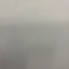 【ジャングル深井店】★洗濯機 シャープ ES-PX8D 8.0kg 2020年製 家電 堺市（中区 堺区 西区 東区 南区） 和泉市 河内長野市 富田林市 松原市 狭山市 深井【FU2954】の画像