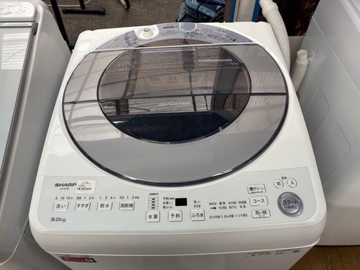 【ジャングル深井店】★洗濯機 シャープ ES-GV8F 8.0kg 2021年製 家電 堺市（中区 堺区 西区 東区 南区） 和泉市 河内長野市 富田林市 松原市 狭山市 深井【FU2955】