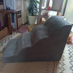 ペット用ステップの画像