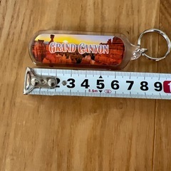 新品　グランドキャニオン キーホルダーの画像