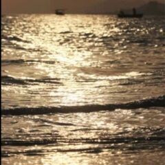 HSPの方を募集します!