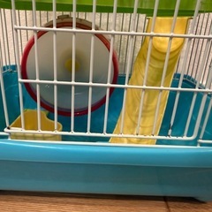 ハムスターのゲージの画像