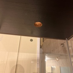 フィギアケース・ショーケース4段の画像