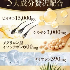 【新品未使用】ピュアビタ ビオチン ケラチン イソフラボン サプリ30日分 ヘアケアサポートの画像