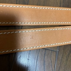 バッグの肩紐のみの画像