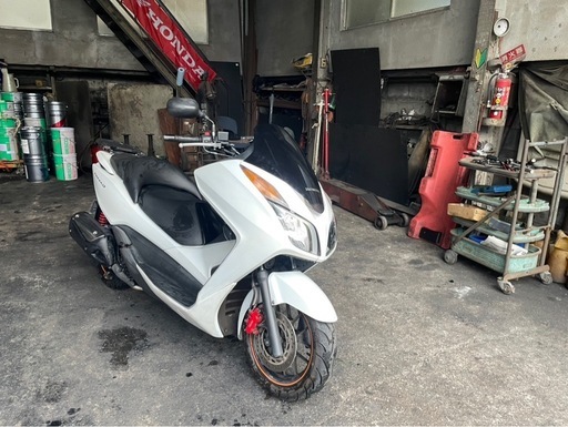 早い者勝ち⭕️フォルツァ