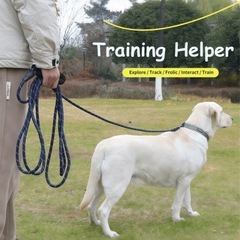 トレーニングリード 長リード20メートルの画像
