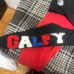 ガルフィーセットアップの画像