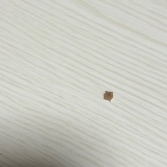 ダイニングテーブルの画像