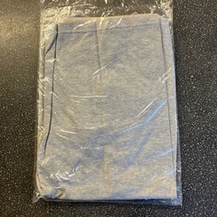 M2511-447 DOG HUNTING 半袖 Tシャツ Lサイズ グレー 未使用品 保管汚れ有りの画像