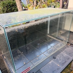 60センチ水槽の画像