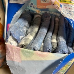 犬用トイレシーツ　ワイド　未開封品の画像