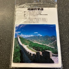 M2511-448 肌着 半袖 Uネック シャツ Lサイズ ホワイト 1枚のみ 未使用品 保管汚れ有りの画像