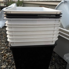 メダカ飼育グッズの画像