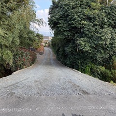 差し上げます。薪・伐採木・解体木…の画像