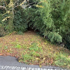 差し上げます。薪・伐採木・解体木…の画像