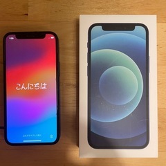 iPhone 12 mini ブルー
128GB【ジャンク品】の画像