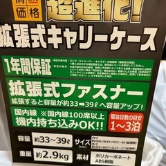 sifflerスーツケースの画像