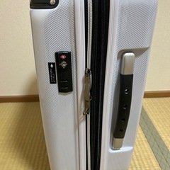 sifflerスーツケースの画像