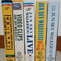 ジュンスカイウォーカーズ　ライブビデオの画像