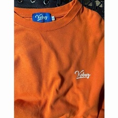 ケボズ　ロンティーの画像