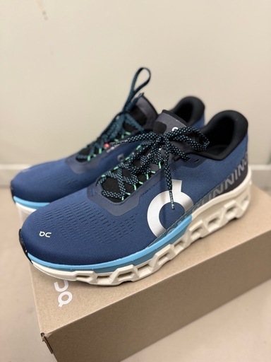 ON Cloudmonster 2 / 30cm 新品同様 箱あり