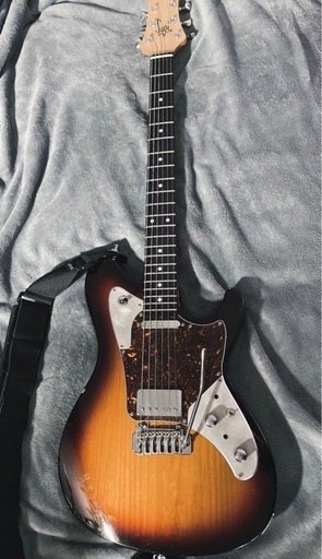 弦楽器、ギター sugi ds499