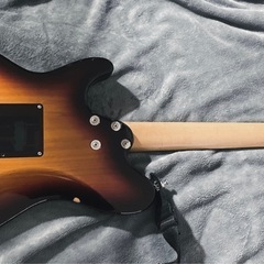 sugi ds499
の画像