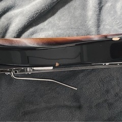 sugi ds499
の画像