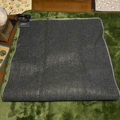 電気カーペット1畳用の画像