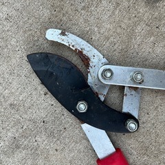 新極太切 GK-1N アルミ柄 一発切断 剪定刃仕様 ファミリーツリーの画像