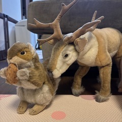 動物のぬいぐるみの画像