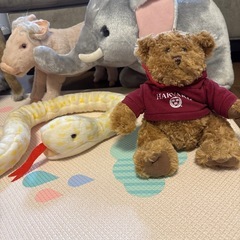 動物のぬいぐるみの画像