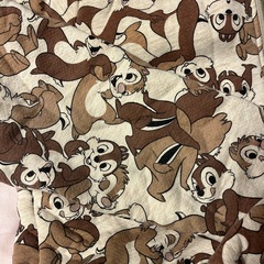 チップとデール パーカーの画像