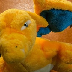 ぬいぐるみセット/とてもキレイの画像