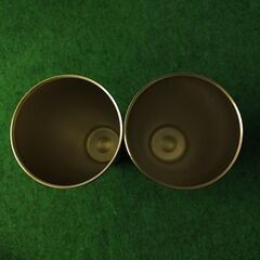 ドウシシャ 飲みごろタンブラー(2個セット)の画像