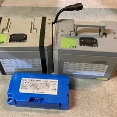 & Discover ADVANCED ENERGY リチウムイオンバッテリー　15-24-1000  バッテリー×3とケーブル　ジャンク品含むの画像