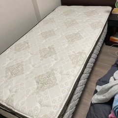 サータ　　マットレス　トラディション96B-T PSマットの画像