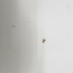 ✨️ジモティー割引✨️【ジャングルジャングル堺初芝店】 ニトリ　レンジボード　ボスティア　ダークブラウン　堺市（東区　西区　北区　南区　堺区　美原区）高石市　泉大津市　忠岡町　和泉市　松原市　大阪狭山市の画像