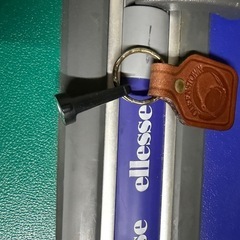 スーツケース  ellesse
の画像
