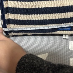 小動物用キャリーバッグの画像