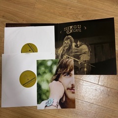12インチレコード　Gram Parsons  and the fallen angelsの画像