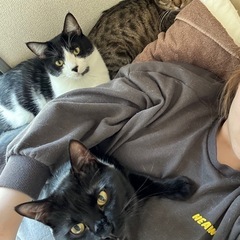 2024.06月生まれ 3匹兄妹