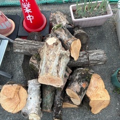 キャンプ
の画像