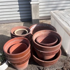 無料。残りわずかになりました。の画像