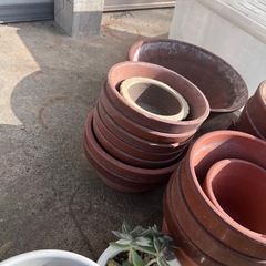 無料。残りわずかになりました。の画像