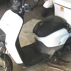 HONDA ベンリー50-2 白 エンジン始動動画 自賠責保険で乗れます 半額配送キャンペーン 限定 現状渡し諸経費￥0- 横浜 P-Yardの画像