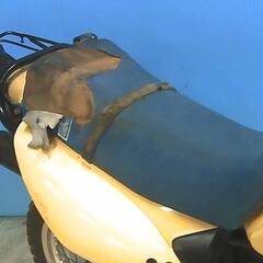 SUZUKI RA125 黄 格安提供車 半額配送キャンペーン クランキング確認 期間限定車体価格 現状渡し諸経費￥0- 横浜 P-Yardの画像