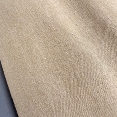 [お譲り先決まりました]エルゴベビー バウンサーの画像