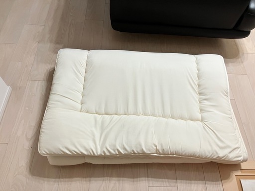 抗菌防ダニ防塵防臭敷布団シングルサイズ (さかい) コスモスクエアの